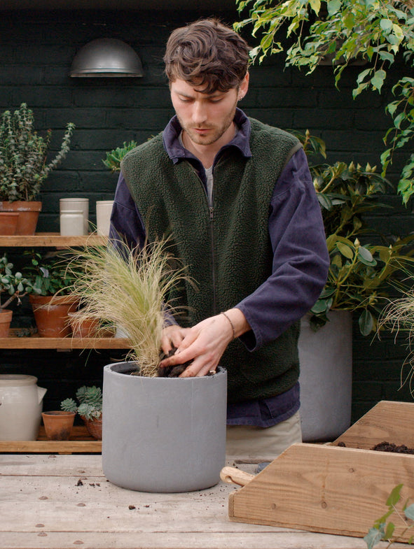 How to pot a plant